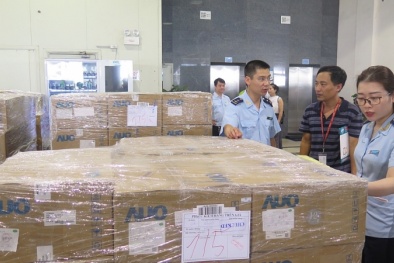 Hướng dẫn về chữ ký trong Hiệp định EVFTA