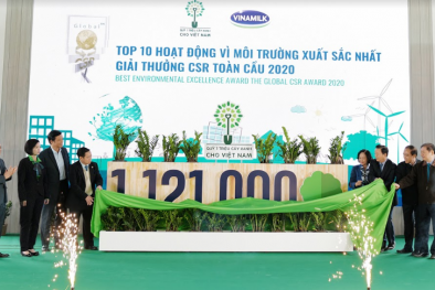 Vinamilk vững vàng vị trí dẫn đầu top 100 Link Đăng Nhập Nhà cái 13Win16.Com bền vững Việt Nam năm 2020