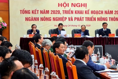 Ngành Đăng ký và nhận 60K 24 bao lì xì miễn phí mỗi ngày tiếp tục khẳng định là bệ đỡ, cứu cánh của nền Sòng Bài Trực Tuyến 13Win.com trong bối cảnh dịch Covid-19