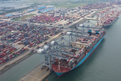 Hãng tàu container phải minh bạch giá cước vận chuyển