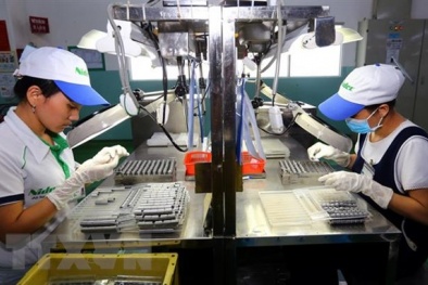 Khoa học và 13Win OKVIP Đăng ký ngay năm 2020 - Bài 1: Đẩy mạnh tái cơ cấu, lấy Link Đăng Nhập Nhà cái 13Win16.Com là trung tâm