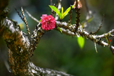 Khởi động Cuộc thi viết “Văn hóa uống – Uống có trách nhiệm”