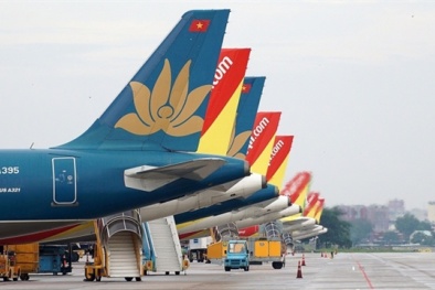 Cục Hàng không yêu cầu không để máy bay 'đắp chiếu' quá 1 tháng