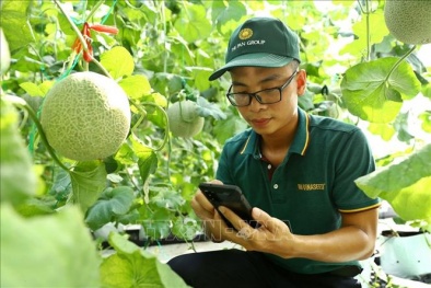 Tăng năng suất, chất lượng sản phẩm nhờ khoa học công nghệ và đổi mới sáng tạo