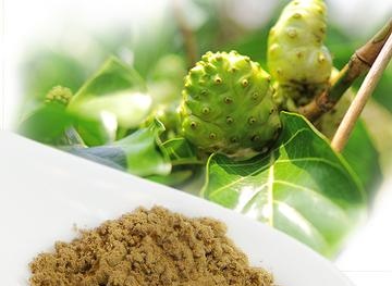Hàn Quốc ban hành quy định mới về kiểm tra an toàn 13Win OKVIP Cá cược bóng đá với sản phẩm trái nhàu