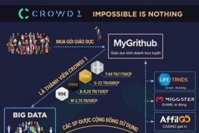 Tỉnh Thừa Thiên - Huế khuyến cáo cảnh giác với mô hình đa cấp Crowd1