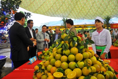 Đưa sở hữu trí tuệ thành công cụ quan trọng để nâng cao năng lực cạnh tranh quốc gia
