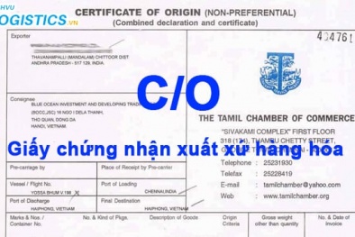 Để được ủy quyền cấp Giấy chứng nhận xuất xứ hàng hóa (C/O), cần những điều kiện nào?