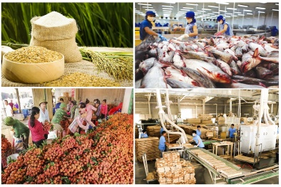 Năm 2030, phấn đấu đưa giá trị xuất khẩu nông lâm thủy sản đạt mức 62 tỷ USD