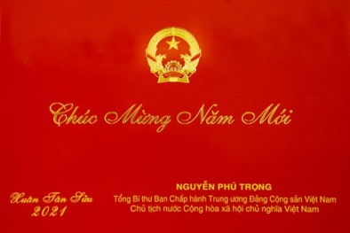Tổng Bí thư, Chủ tịch nước chúc Xuân mới khí thế mới, thắng lợi mới