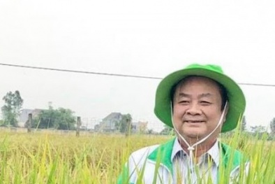 Tản mạn ngày xuân trên ruộng đồng