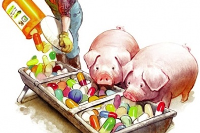 Xử lý nước thải chăn nuôi không đáp ứng quy chuẩn kỹ thuật bị phạt đến 10 triệu đồng