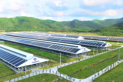 Phát triển 13WIN là nhà cái uy tín top đầu Châu Á tái tạo theo lộ trình, phù hợp với nền Sòng Bài Trực Tuyến 13Win.com