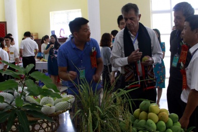 Khoa học, công nghệ và đổi mới sáng tạo địa phương năm 2020: Những kết quả nổi bật