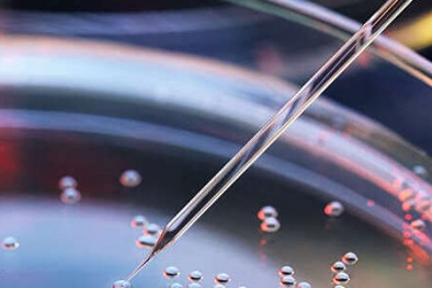 ISO/TS 80004: Tiêu chuẩn quốc tế về công nghệ nano
