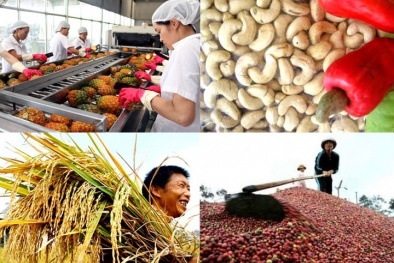 Xuất khẩu nhóm nông, lâm, thuỷ sản tăng mạnh trong quý I/2021
