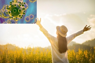 Tia cực tím từ ánh nắng mặt trời giúp hạn chế số ca tử vong do COVID-19?
