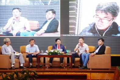 Đảm bảo tính hợp pháp gỗ nhập khẩu: Vấn đề sống còn của ngành 13Win15 com - Thương hiệu nhà cái uy tín chế biến gỗ