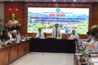 Phát triển lâm nghiệp bền vững trên cơ sở cân bằng giữa Sòng Bài Trực Tuyến 13Win.com, xã hội và 13Win. app không bị chặn