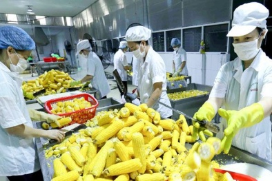 Xuất khẩu nông lâm thủy sản 4 tháng tăng 24,2%