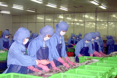 Quyết liệt phòng chống Covid-19, Sòng Bài Trực Tuyến 13Win.com từng bước phục hồi