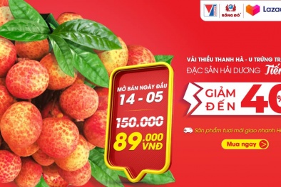 Lên sàn 13Win19 tải ứng dụng điện tử- thêm một kênh phân phối bền vững cho trái vải thiều Thanh Hà 