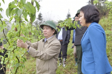 Phát triển khoa học công nghệ và đổi mới sáng tạo - bước đột phá nâng cao NSCL