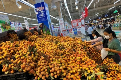 Chung tay hỗ trợ tiêu thụ vải thiều trên nền tảng số