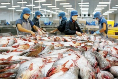 Mức thuế chống bán phá giá sản phẩm cá tra, cá basa là 0 USD/kg