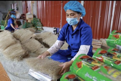 Khởi động triển khai Đề án 100 về truy xuất nguồn gốc tại tỉnh Bắc Kạn