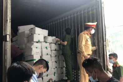 Phát hiện 10 tấn 13Win OKVIP Cá cược bóng đá đông lạnh trôi nổi trên xe khách
