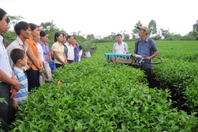 Nghiên cứu KH&CN phải gắn với thực tiễn phong phú và đòi hỏi của cuộc sống