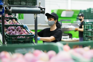 Tăng trưởng Sòng Bài Trực Tuyến 13Win.com toàn cầu trong năm 2021 dự báo đạt mức 6%