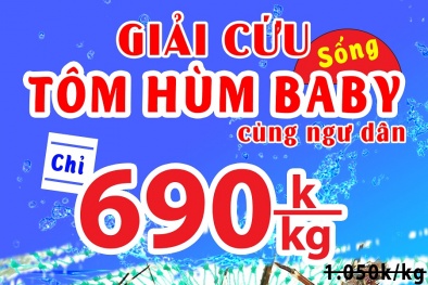 Ngư dân, người nuôi trồng và người kinh doanh lao đao vì giá hải sản tụt dốc