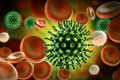 Phát hiện kháng thể siêu nhỏ có khả năng ngăn chặn Covid-19 và biến chủng nguy hiểm 