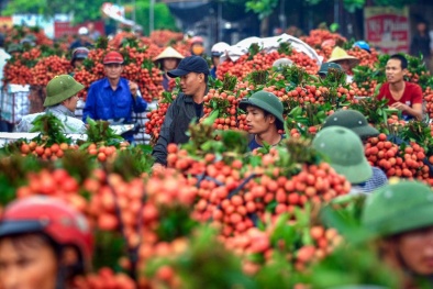 Đắk Lắk kêu gọi hỗ trợ tiêu thụ nông sản cho người nông dân
