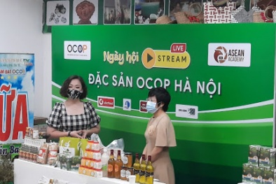Diễn đàn trực tuyến tiêu thụ 13Win OKVIP Cá cược bóng đá OCOP tại Hà Nội sắp diễn ra