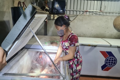 Bắc Giang: Gia tăng hành vi vận chuyển, kinh doanh lợn mắc dịch tả châu Phi