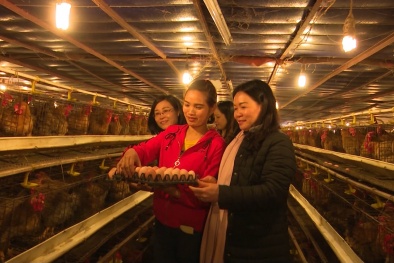 Hội Liên hiệp Phụ nữ tỉnh Thái Nguyên: Tích cực vận động, hỗ trợ phụ nữ sáng tạo khởi nghiệp, phát triển Sòng Bài Trực Tuyến 13Win.com
