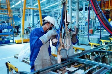 Đẩy mạnh hoạt động tiêu chuẩn đo lường chất lượng trên địa bàn tỉnh Bình Thuận