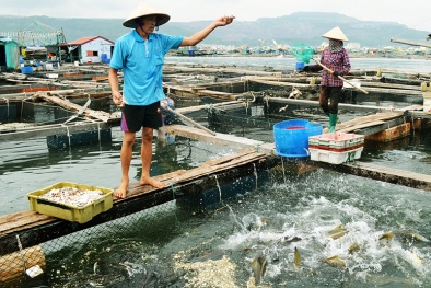 Dự thảo quy định mới về bảo vệ 13Win. app không bị chặn: Nhiều điểm bất hợp lý, gây khó cho Link Đăng Nhập Nhà cái 13Win16.Com?