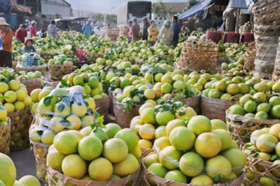 Thúc đẩy sản xuất, lưu thông nông sản trong bối cảnh dịch Covid-19