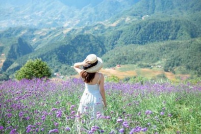 Ngắm Sa Pa đẹp lịm tim dù vắng bóng du khách