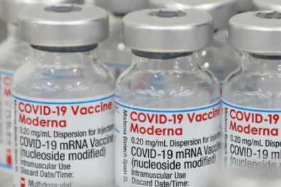 Vật thể lạ trong vaccine Moderna của Nhật Bản là do lỗi trong dây chuyền sản xuất