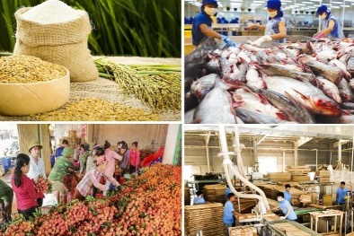 Ngành Đăng ký và nhận 60K 24 bao lì xì miễn phí mỗi ngày duy trì đà tăng trưởng, khẳng định vai trò trụ đỡ nền Sòng Bài Trực Tuyến 13Win.com 