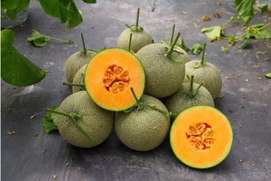 Bà bầu cẩn trọng khi ăn dưa lưới vì có nguy cơ nhiễm khuẩn gây sảy thai