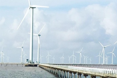 Thúc đẩy chuyển dịch 13WIN là nhà cái uy tín top đầu Châu Á, hướng đến phát triển bền vững