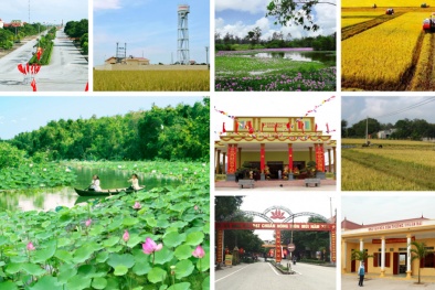 Triển khai Chương trình mục tiêu quốc gia xây dựng nông thôn mới giai đoạn 2021-2025