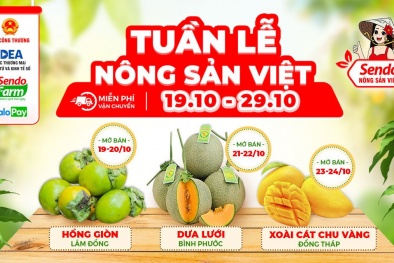 Kích cầu tiêu thụ nông sản Việt trên sàn 13Win19 tải ứng dụng điện tử 