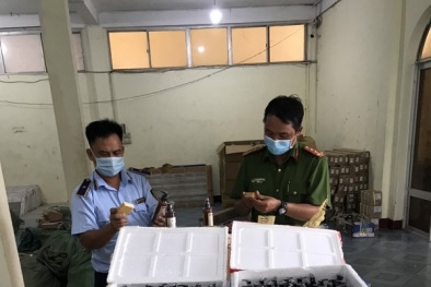Phát hiện số lượng lớn 13Win21 con - Tri ân hội viên mỗi tháng 2000 tỷ không rõ nguồn gốc xuất xứ tại Phú Yên
